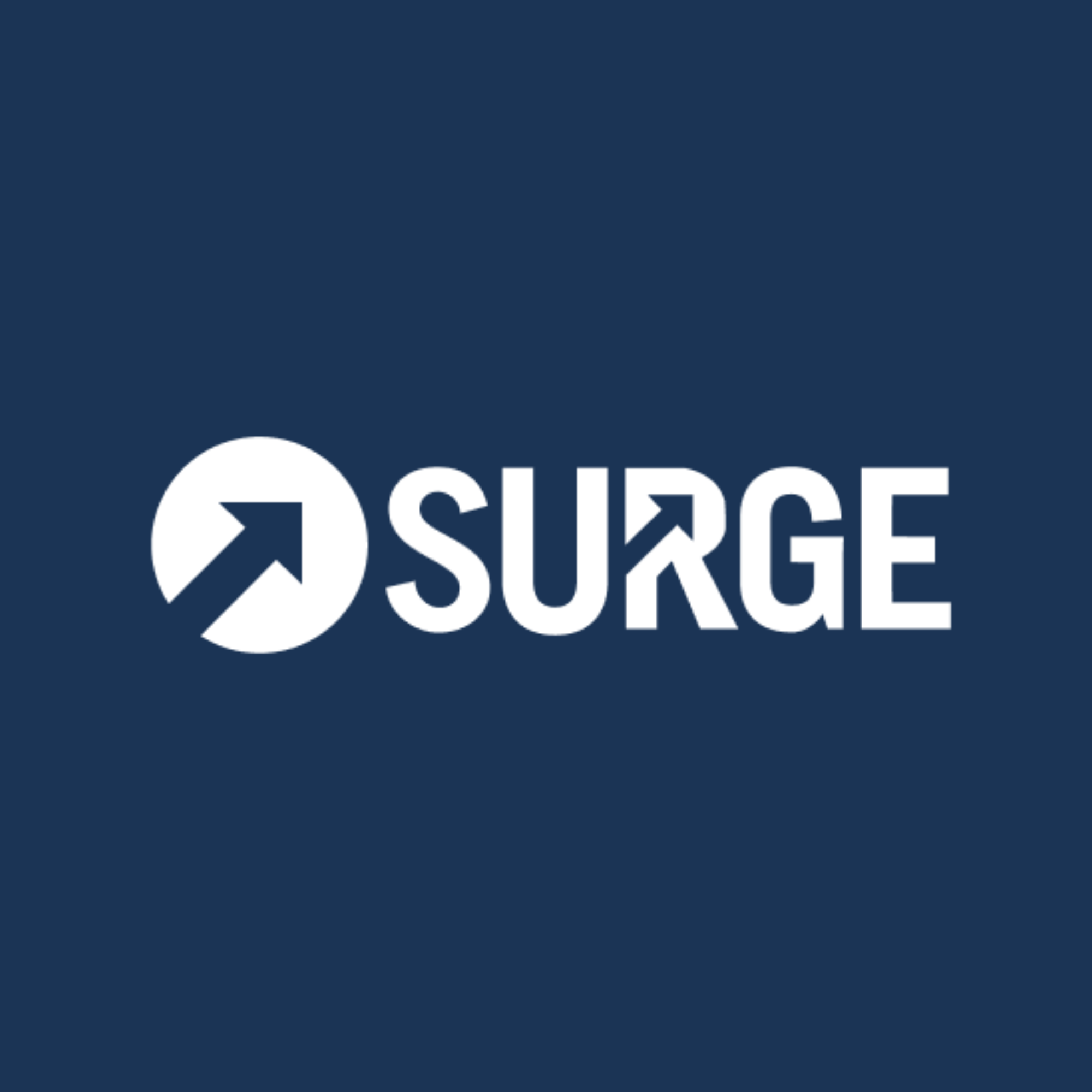 Surge Growth Digital
